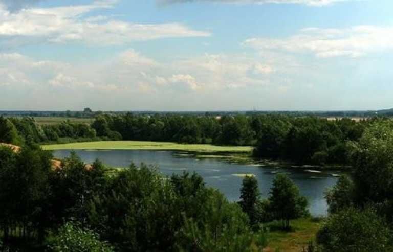 Начались работы по расчистке 11 км реки Быковки в городе Жуковском и Раменском районе. Они будут завершены в 2017 году.