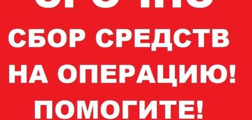 Деньги на лечение: аферисты. Каждый месяц на реабилитацию нужно 35 тысяч рублей - обман! . . . Народ перестал верить тем, кто просит помощи