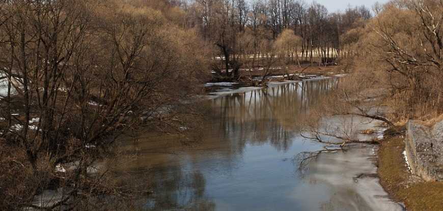 Рейтинг самых забавных и веселых рек России возглавила подмосковная Звероножка