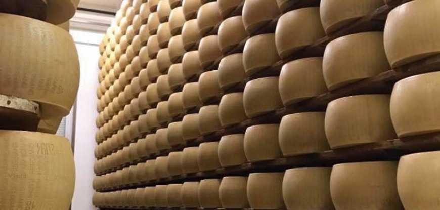 Подмосковный сыр увеличит объем экспорта продукции агропромышленного комплекса в ближнее и дальнее зарубежье