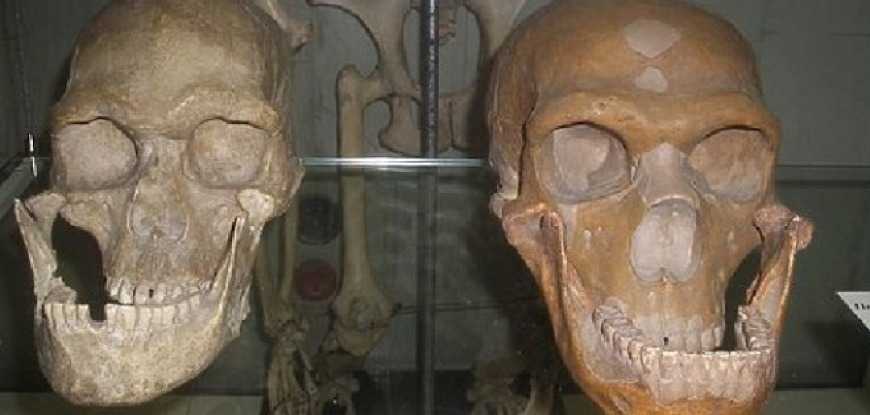 Израильские археологи обнаружили в пещере Кесем близ Рош-Айна остатки зубов человека, жившего 400 тысяч лет назад.